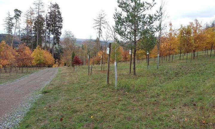 Tiroler Stuben Schonbach